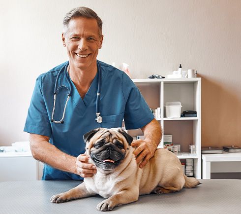 Clínica veterinária da Agropet Nunes